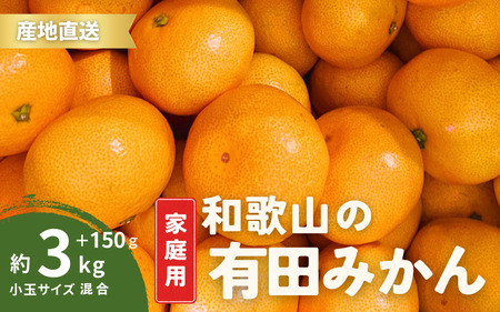 家庭用 有田みかん 和歌山 小玉(2S,3Sサイズ混合) 3kg +150g[10月上旬〜1月下旬頃に順次発送予定]/ みかん フルーツ 果物 くだもの 有田みかん 蜜柑 柑橘[ktn009]