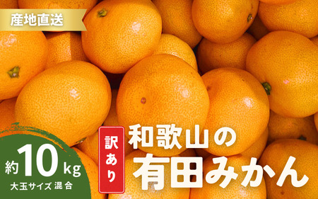 家庭用 訳あり 有田みかん 和歌山 大玉(2L,3Lサイズ混合) 箱込み10kg[10月上旬〜1月下旬頃に順次発送]/ みかん フルーツ 果物 くだもの 有田みかん 蜜柑 柑橘[ktn012A]