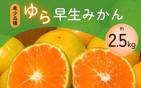 [先行予約]＼数量限定/ 希少品種 ゆら早生みかん 約2.5kg+75g[2024年10月上旬頃より順次発送][nuk143B]