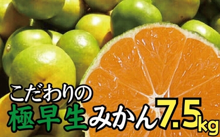 [2025年秋頃発送予約分]＼光センサー選別/ [農家直送]こだわりの極早生みかん 約7.5kg [数量限定] 有機質肥料100% サイズ混合 ※2025年9月下旬より順次発送予定(お届け日指定不可) 有田産[nuk136C]