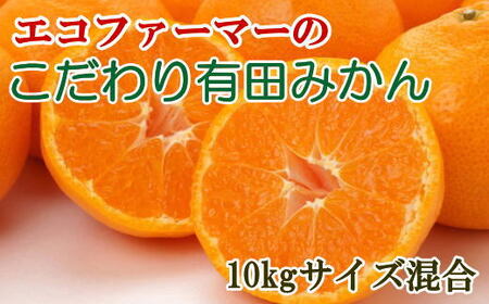 エコファーマーのこだわり有田みかん約10kg(サイズ混合)  ※2024年11月中旬～2025年1月中旬頃順次発送（お届け日指定不可）【tec950】