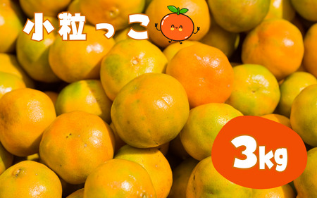 [受付は2月12日まで!]温州みかん 「小粒っこ」 3kg (極早生・早生・中生・晩稲)[2S〜3Sサイズおまかせ][2024年10月中旬〜2025年1月下旬までに順次発送]/温州 みかん 小玉 蜜柑 柑橘 みかん 極 中生 晩稲 小粒 果物 フルーツ[agy015]