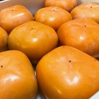 [先行予約][和歌山特産品]クイーンパーシモン 4L〜7Lサイズ 約4kg / かき 柿 カキ フルーツ くだもの 果物 ※2026年10月下旬頃〜11月上旬頃に順次発送予定 ※沖縄・その他離島への配送不可 [ard504-p-queen-4]