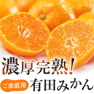 有田育ちのご家庭用完熟 有田みかん 4kg ※11月上旬～11月下旬頃より順次発送【ard194-1】