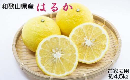さわやか柑橘 和歌山県産 はるか みかん 4.5kg （サイズ混合　ご家庭用）※2027年2月下旬～3月下旬頃順次発送【tec954】