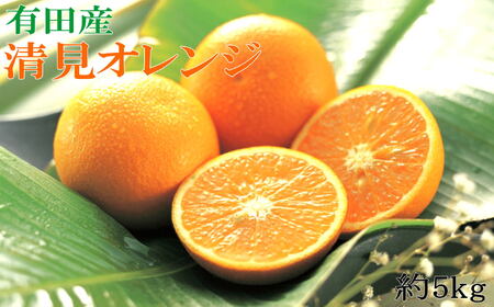 [濃厚]有田産清見オレンジ約5kg(サイズおまかせ 青秀以上)※2025年2月中旬〜2025年3月中旬頃発送(日付指定不可) /果物 くだもの フルーツ 蜜柑 みかん[tec958]