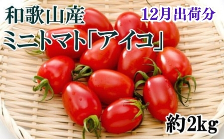 [12月出荷分]和歌山産ミニトマト「アイコトマト」約2kg(S・Mサイズおまかせ)/トマト 12月 先行予約 野菜 [tec100-12]