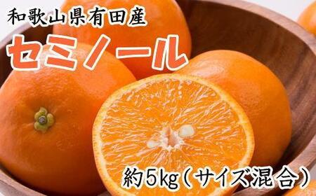 和歌山有田産セミノールオレンジ約5kg(サイズ混合) ※2025年4月中旬〜2025年5月上旬頃に順次発送[tec969]