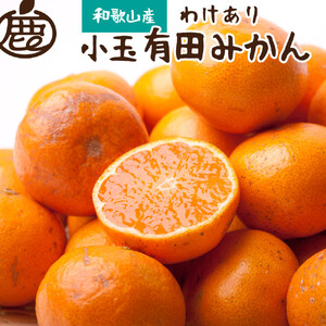 家庭用 小玉な有田みかん2.5kg+75g(傷み補償分)[わけあり・訳あり][光センサー選果]※北海道・沖縄・離島への配送不可 / みかん 果物 フルーツ オレンジ ミカン 果実 [ikd153A]