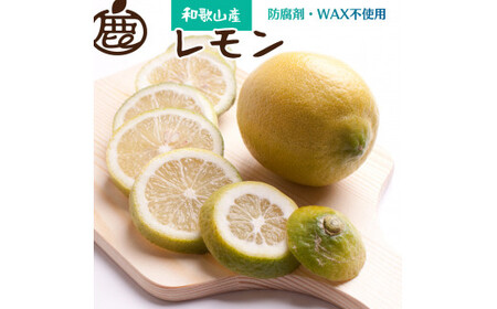 レモン5kg+250g(傷み補償分)[和歌山有田産][防腐剤・WAX不使用、安心の国産レモン]※北海道・沖縄・離島への配送不可 /レモン れもん 柑橘 フルーツ 果物 果実 [ikd180A]