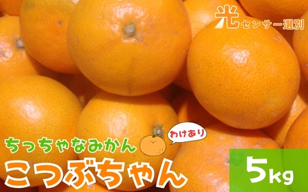 [訳あり]3S ちっちゃな有田みかん 5kg ※2024年11月中旬〜2025年1月中旬までに順次発送予定(お届け日指定不可)※北海道・沖縄・離島への配送不可 訳ありみかん みかん ミカン 蜜柑 柑橘 フルーツ 果物 くだもの 温州みかんサイズ混合 有機質肥料100% ふるさと納税 柑橘 有田 産地直送[nuk163]