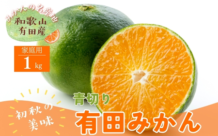 [先行予約]有田育ちのご家庭用青切り有田みかん1kg ※着日指定不可 ※北海道・沖縄・離島は配送不可 ※2025年9月中旬〜10月中旬頃に順次発送予定 [ard207A]