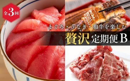 [全3回]まぐろ・うなぎ・和牛を楽しむ贅沢定期便B / 鮪 マグロ 刺身 鰻 ウナギ 蒲焼 熊野牛 肉 牛肉 和牛 黒毛和牛 赤身 こま切れ [tkb387]