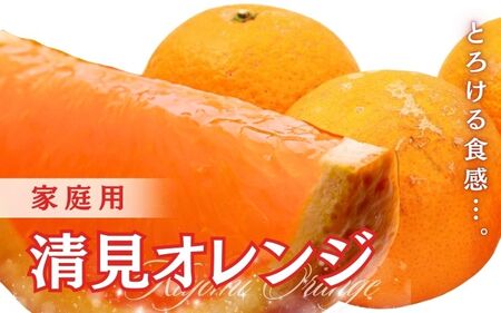 [2月より発送]家庭用 清見オレンジ3.5kg+105g(傷み保証分)[光センサー食頃出荷][樹上完熟きよみオレンジ・清見タンゴール・清美][わけあり・訳あり]※北海道・沖縄・離島への配送不可[ikd199]