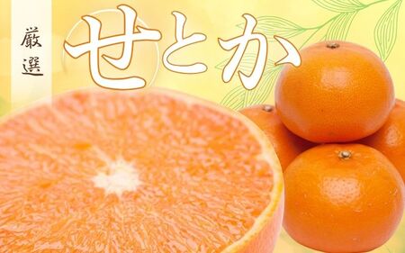 [2月より発送]厳選 せとか5kg+150g(傷み補償分)[柑橘・春みかんの王様][光センサー選果・食べ頃出荷][ikd205]