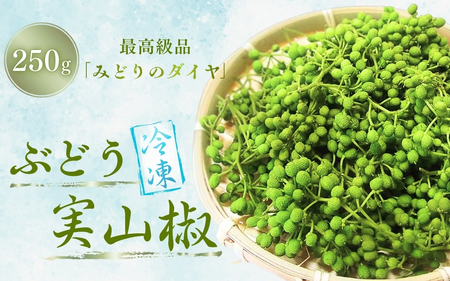 冷凍 ぶどう 生実山椒 250g / 山椒 さんしょう 香辛料 調味料 薬味 冷凍 ぶどう山椒 生山椒 和歌山県 紀美野町 生実山椒[twn020]