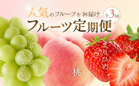 【定期便全3回】和歌山県産 人気のフルーツ定期便！ 桃・シャインマスカット・まりひめ 旬の時期にお届け♪ / フルーツ 果物 もも モモ ぶどう ブドウ 定期便 桃 もも シャインマスカット マスカット いちご イチゴ 苺 果物 フルーツ 3回【tkb604】 