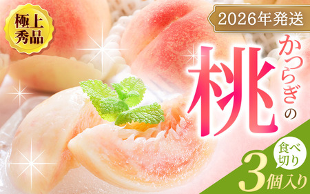 [先行予約][厳選]あふれる果汁で口いっぱい! 食べきりサイズ 和歌山県産 桃 3玉 [2026年6月末頃〜2026年8月末頃に順次発送予定](お届け日指定不可)/ 和歌山 桃 モモ フルーツ もも 白桃 果物 くだもの[kgr002]