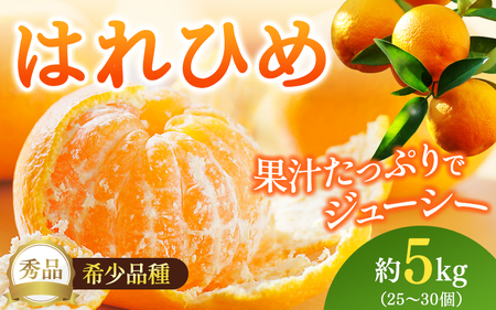 [先行予約]希少種みかん はれひめ 秀品 約5kg (25個〜30個) ※2025年12月中旬〜2026年2月初旬頃に順次発送予定(お届け日指定不可)/ 和歌山 みかん ミカン はれひめ フルーツ 柑橘 蜜柑 果物 くだもの 旬 産地直送[kgr004A]