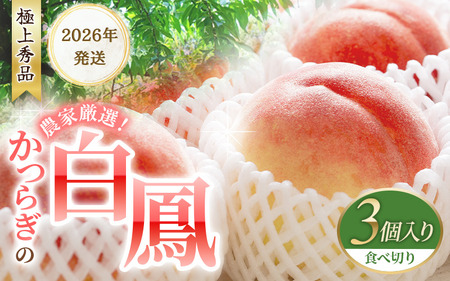 [予約受付]桃の王様 白鳳 [特秀品] うれしい食べきり容量 3玉 2026年6月末頃〜2026年7月末頃に順次発送予定(お届け日指定不可)/ 桃 もも 白鳳 フルーツ 果物 くだもの [kgr010]