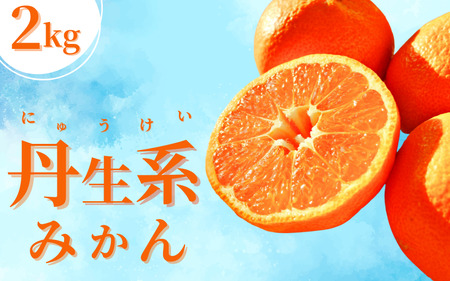 [L〜3Lサイズおまかせ]※秀優混合 丹生系みかん 2kg ※箱込み[2025年2月初旬から2月下旬頃発送予定][味好農園]/ 丹生系 にゅうけい みかん 柑橘 果物 フルーツ ミカン 訳あり 秀品 優品[agy029]