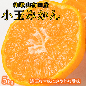 有田の小粒みかん5kg (S〜3Sサイズ混合) ※2025年11月下旬頃〜12月下旬頃に順次発送予定 / みかん ミカン 蜜柑 温州みかん 柑橘 フルーツ 果物 くだもの 和歌山[uot845]
