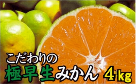 y2025NH\񕪁zɑ݂ 4kgyʌz  TCY 2025N9{菇\i͂wsjynuk171Az