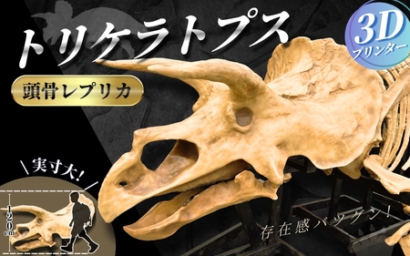[トリケラトプス] 原寸大 頭骨レプリカ / レプリカ 標本 コレクション プラモデル 実物大 恐竜 骨格レプリカ フィギュア インテリア 展示 模型 博物館 骨格 頭蓋骨 オブジェ 3Dプリント [anf007]