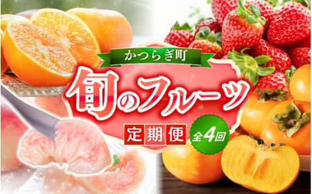 [定期便4回]フルーツ王国かつらぎ町よりお届け!旬のフルーツ定期便[kgr025]