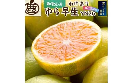 [先行予約]家庭用有田みかんサイズ混合(2S〜2L)1kg+250g 10月より発送(極早生)/ みかん ミカン 有田みかん 柑橘 フルーツ 果物 和歌山 オレンジ[ikd209]