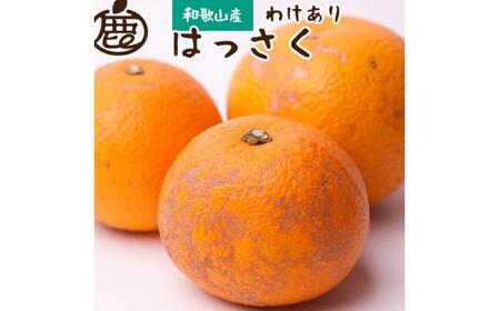 [先行予約]家庭用はっさく1kg+250g(傷み補償分)[1月より発送]/ みかん ミカン 有田みかん 柑橘 フルーツ 果物 和歌山 オレンジ[ikd223]