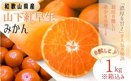 [和歌山県産]秀品 「紅娘」 温州 みかん 山下紅早生 1kg※箱込み「お試しに♪」 [S~2Lサイズおまかせ][2025年11月下旬〜2025年12月中旬までに順次発送][味好農園] /温州みかん みかん 蜜柑 柑橘 山下早生 秀品 フルーツ 果物 くだもの 希少[agy035]