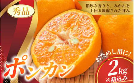 秀品 ポンカン 2kg ※箱込み [S~2Lのサイズおまかせ][2026年1月下旬から2月中旬頃に順次発送][味好農園]/ ぽんかん 蜜柑 みかん 柑橘 果物 フルーツ [agy027]