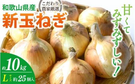 和歌山県産新玉ねぎ約10kg Lサイズ 約25個入り こだわり農家厳選![2026年4月末頃〜6月中旬に発送予定]人気 おすすめ たまねぎ 玉ねぎ 玉葱 タマネギ オニオン スープ サラダ 国産 野菜 新鮮 ビッグサイズ 大きい BBQ[kgr033]