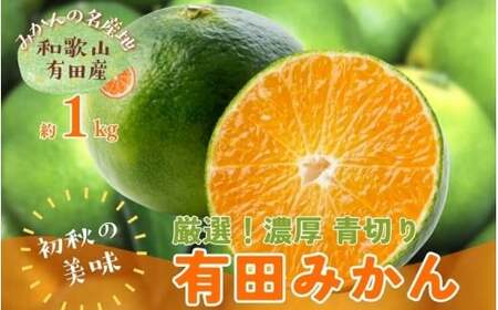 [先行予約][2025年9月発送]特撰 青切り有田みかん 1kg ※北海道・沖縄・離島配送不可 / みかん ミカン 果物 フルーツ 柑橘 和歌山 有田みかん 青切 極早生 早生みかん[ard232]