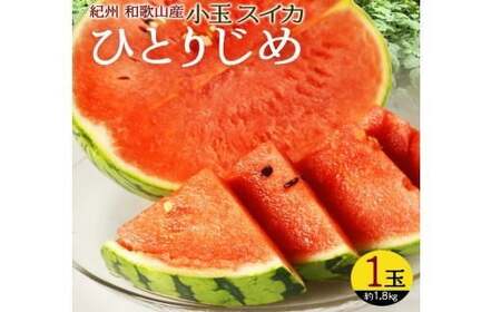 [先行予約]紀州和歌山産小玉スイカ「ひとりじめ」1玉[予約]※2026年6月上旬頃〜7月上旬頃に順次発送予定(お届け日指定不可) スイカ すいか 果物[uot778]