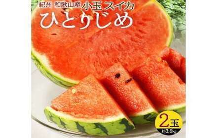 [先行予約]紀州和歌山産小玉スイカ「ひとりじめ」2玉 ※2026年6月上旬頃〜7月上旬頃に順次発送予定(お届け日指定不可) スイカ すいか 果物 フルーツ くだもの 和歌山 夏 小玉 大玉[uot779]