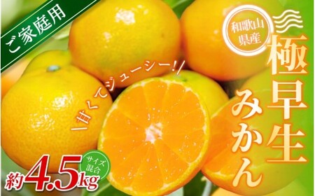 yƒpzI ɑ݂ 4.5kg a̎RY 2S~2LTCY2025N10{`{ɏymrmt002z