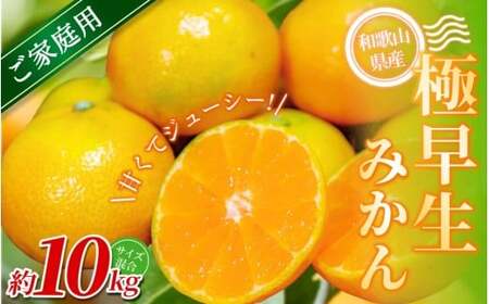 yƒpzI ɑ݂ 10kg a̎RY 2S~2LTCY2025N10{`{ɏymrmt029z
