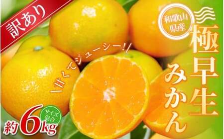 y󂠂zI ɑ݂ 6kg a̎RY 2S~2LTCY2025N10{`{ɏymrmt004z