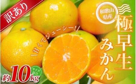 y󂠂zI ɑ݂ 10kg a̎RY 2S~2LTCY2025N10{`{ɏymrmt005z