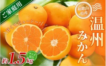 yƒpzI B݂ 1.5kg a̎RY 2S~2LTCY2025N11{`2026N2{ɏymrmt006z
