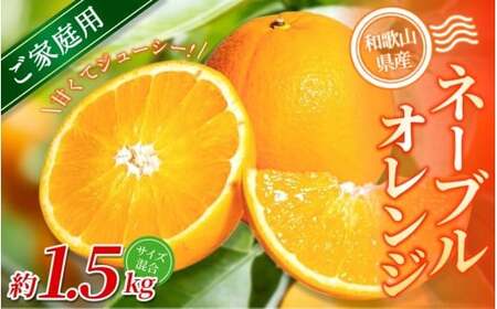 yƒpzI l[uIW 1.5kg a̎RY 2S~2LTCY2026N1{`2{ɏymrmt016z