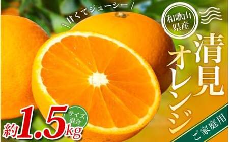 yƒpzI IW 1.5kg a̎RY 2S~2LTCY2026N2{`5{ɏymrmt021Az