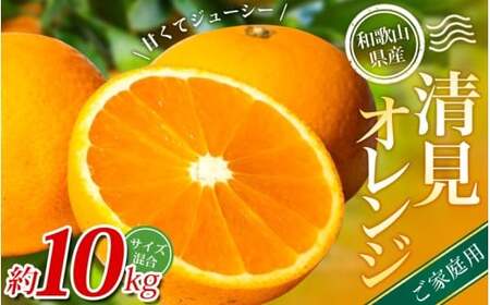 yƒpzI IW 10kg a̎RY 2S~2LTCY2026N2{`5{ɏymrmt039Az