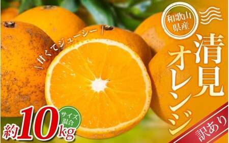 y󂠂zI IW 10kg a̎RY 2S~2LTCY2026N2{`5{ɏymrmt025Az