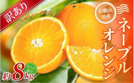 y󂠂zI l[uIW 8kg a̎RY 2S~2LTCY2026N1{`2{ɏymrmt047z