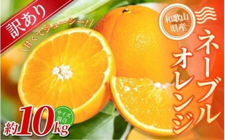 y󂠂zI l[uIW 10kg a̎RY 2S~2LTCY2026N1{`2{ɏymrmt020z