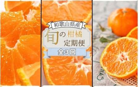 [全3回定期便]柑橘定期便[tkb606]