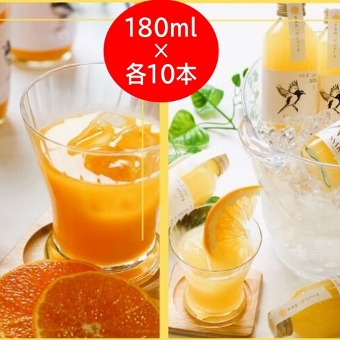 きみの 蜜柑&八朔ジュース 180mL×各10本 / 果汁 ジュース オレンジジュース ドリンク セット 有機 無添加 100% [kmf100-mix-20]